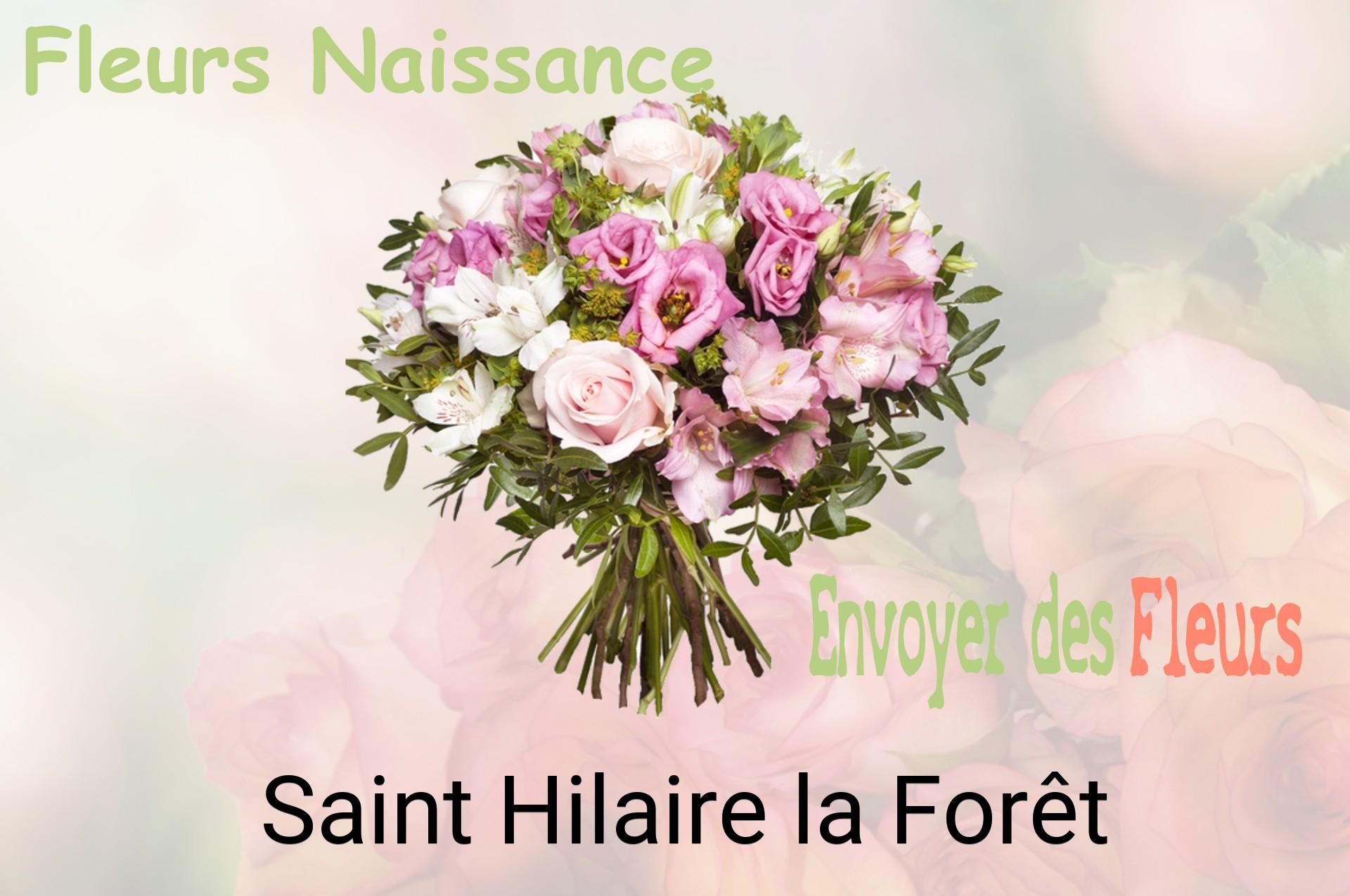 Bouquet de fleurs de naissance livré à Saint-Hilaire-la-Forêt